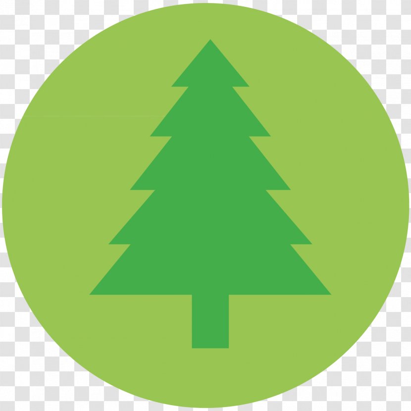 Tree Icon Conservation - Triangle - Christmas Transparent PNG