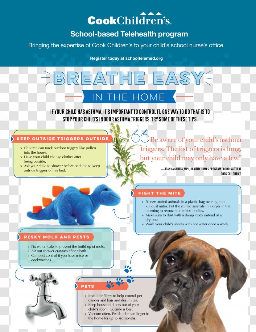 Dog Breed Indoor Air Quality Asthma UK Boxer - Advertising Transparent PNG