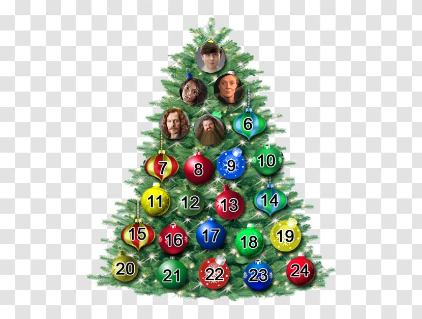 Christmas Tree Ornament Fir Day - Decor Transparent PNG