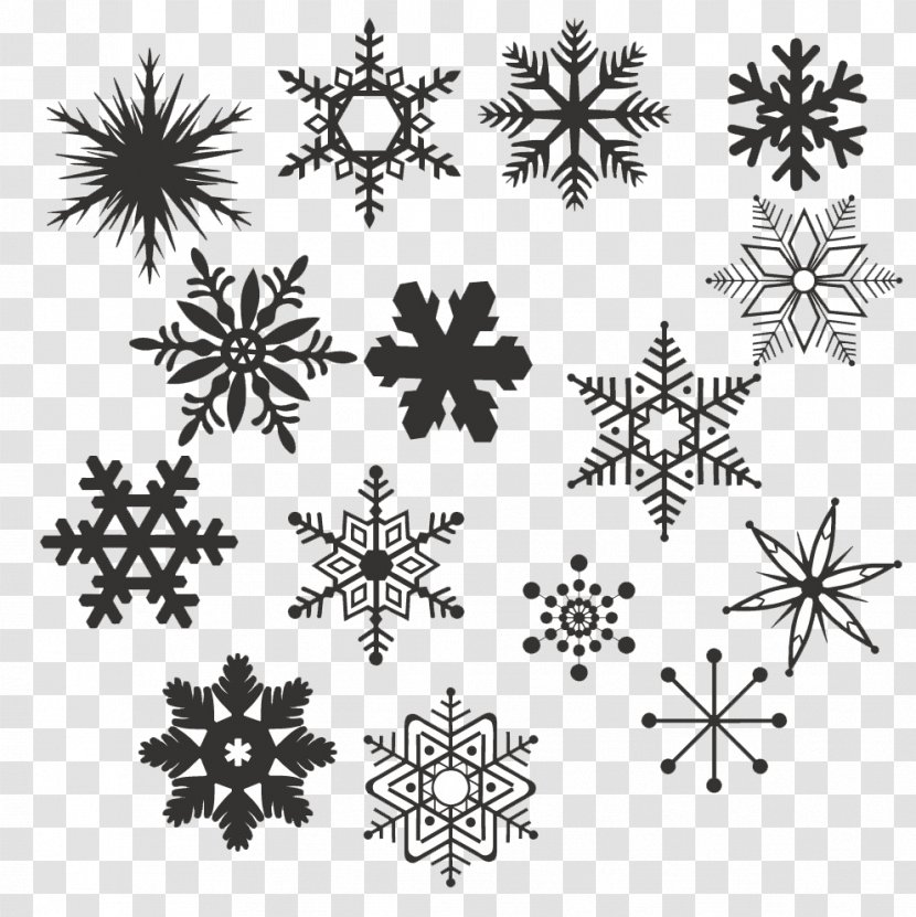 Black And White Snowflake - Snow Is Transparent PNG