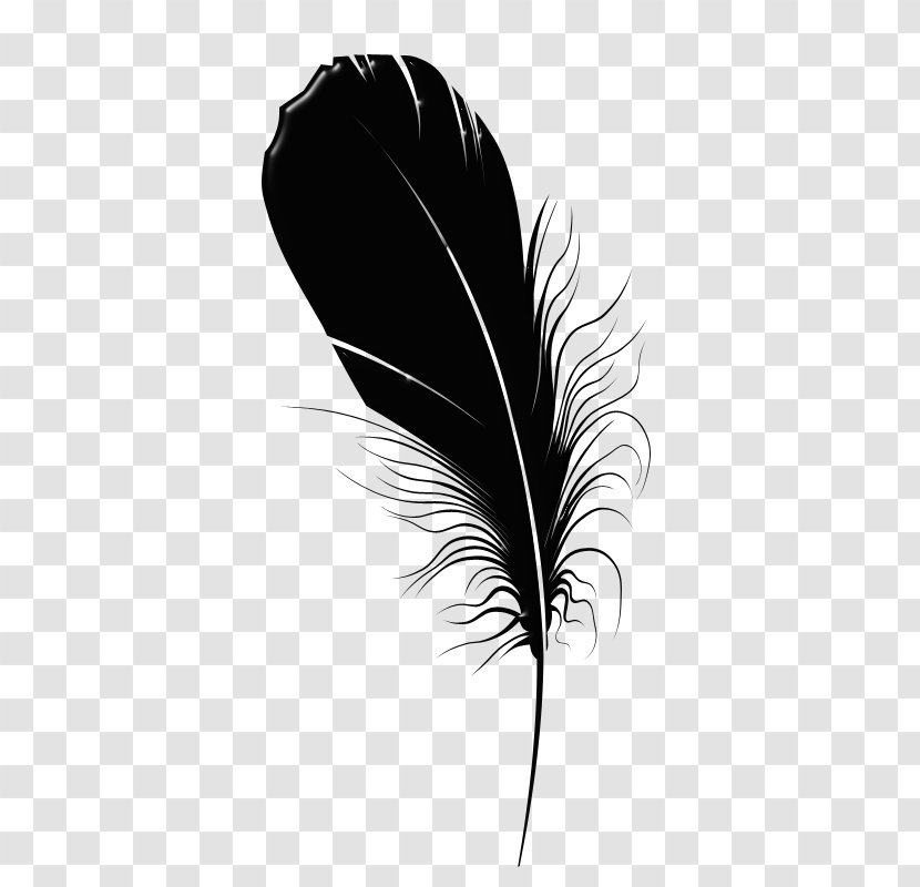 Feather Chemical Element Quill Leaf Blog - White - Black Feathers Transparent PNG