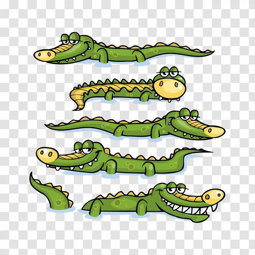 Nile Crocodile Alligator Prenasalis Clip Art - Vector Material Transparent PNG