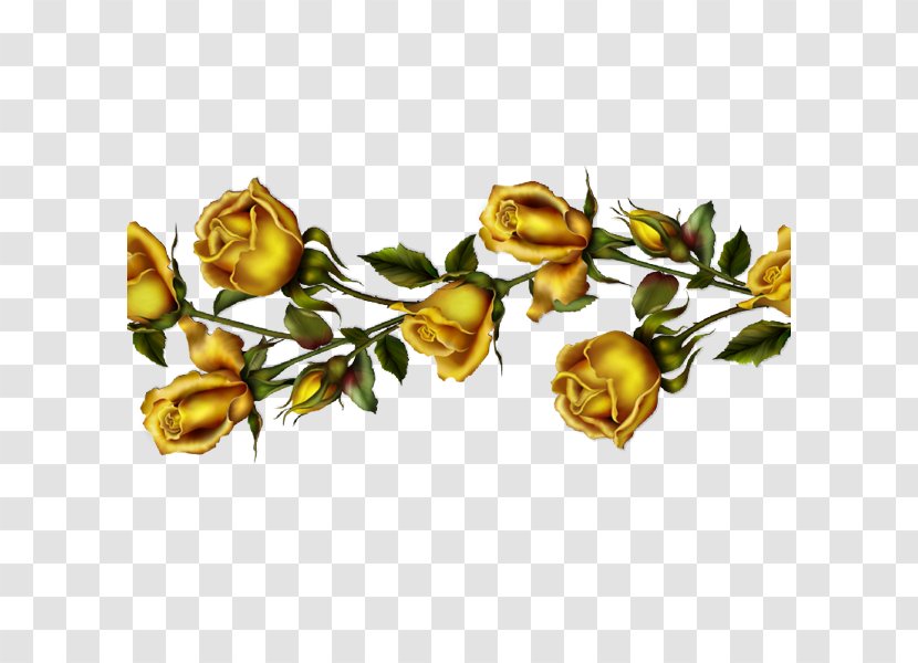 Garden Roses Flower Beach Rose Image Gold - Flowering Plant Transparent PNG