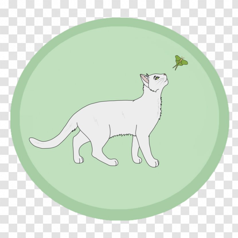 Whiskers Cat Dog Green Mammal - Moth Drawing Transparent PNG