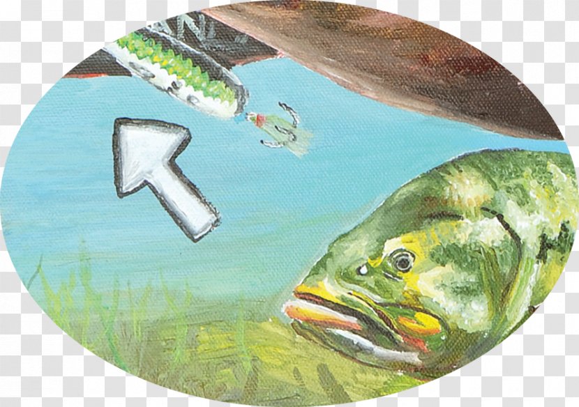 Fishing Baits & Lures Bait Fish Bassmaster Classic - Fisherman - Bass Transparent PNG