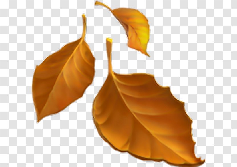 Emojipedia Autumn Leaf Color - Emoji Movie Transparent PNG