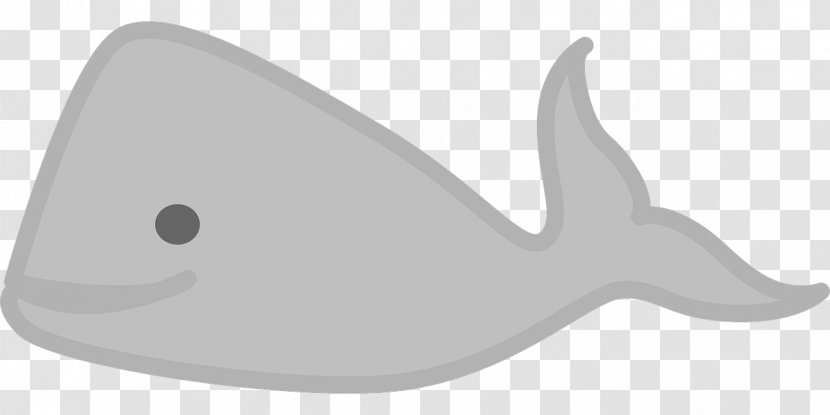 Marine Mammal Cetacea Gray Whale Beluga Clip Art - Headgear - Sea Transparent PNG