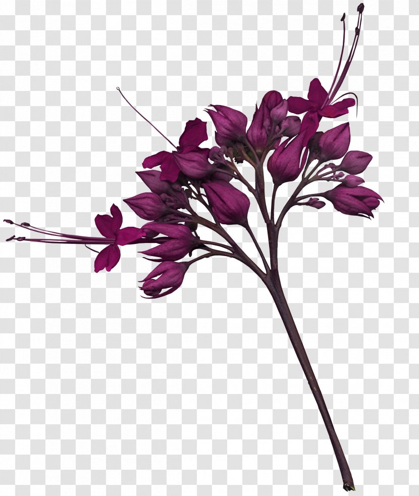 Floral Design Flower Bouquet Scrapbooking - Arranging Transparent PNG