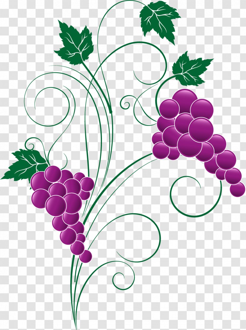 Grapevines Food Grape Leaves - Purple Transparent PNG