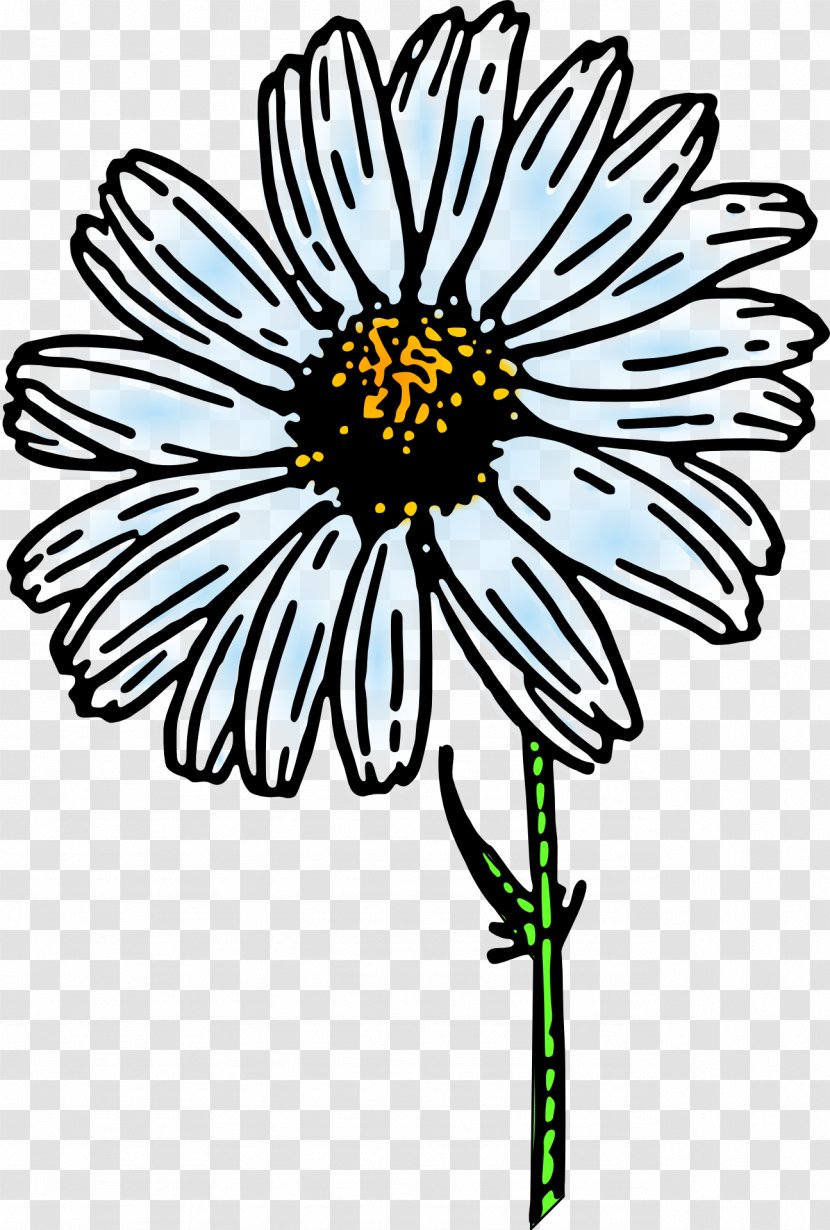 Flower Black And White Clip Art - Daisy - Daisys Transparent PNG