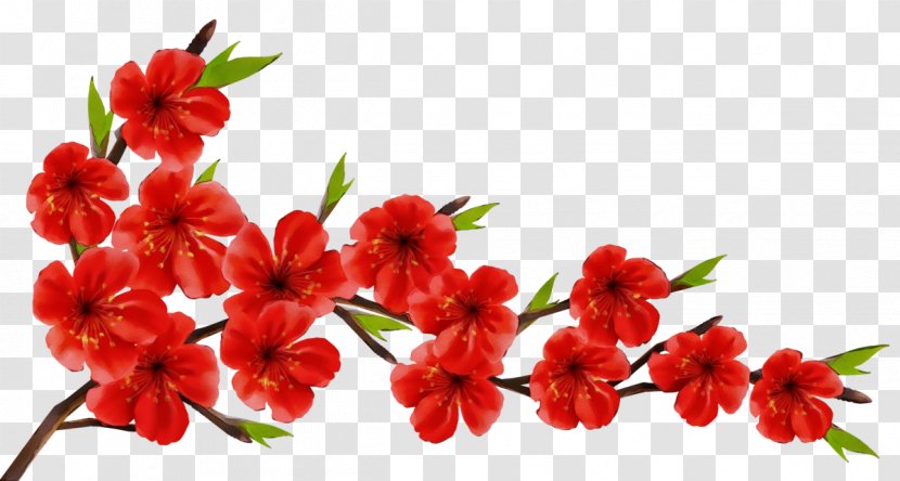 Flower Clip Art Image Branch - Red Transparent PNG