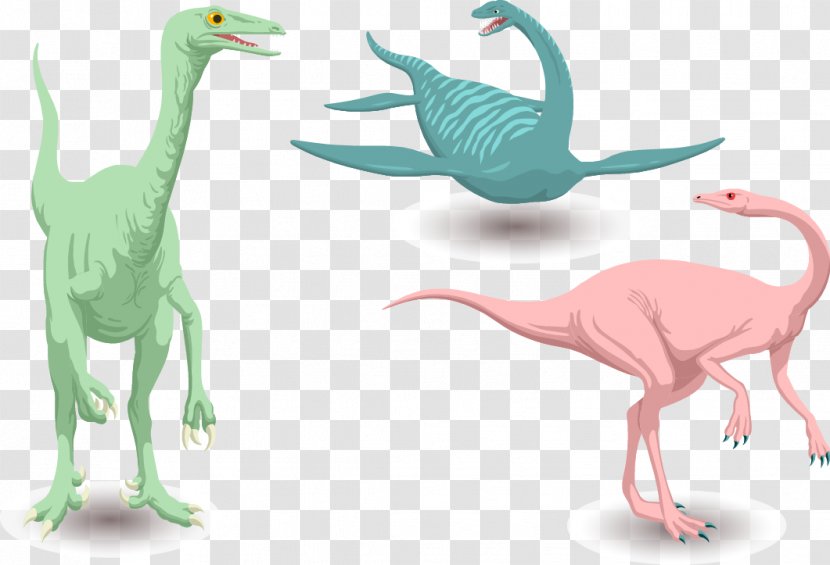 Velociraptor Tyrannosaurus Dinosaur - Vector Dinosaurs Transparent PNG