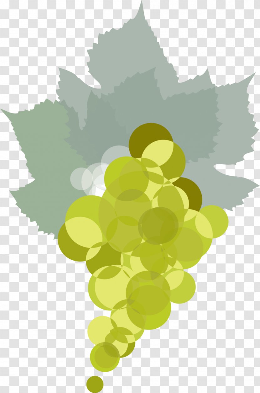 Grape Leaves Common Vine Leaf Illustration - Summer Wine Border Transparent PNG