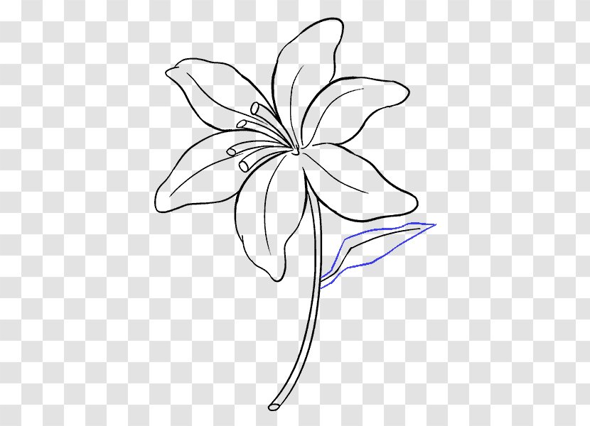 Drawing Art Painting Sketch - Area - Lily Of The Valley Transparent PNG