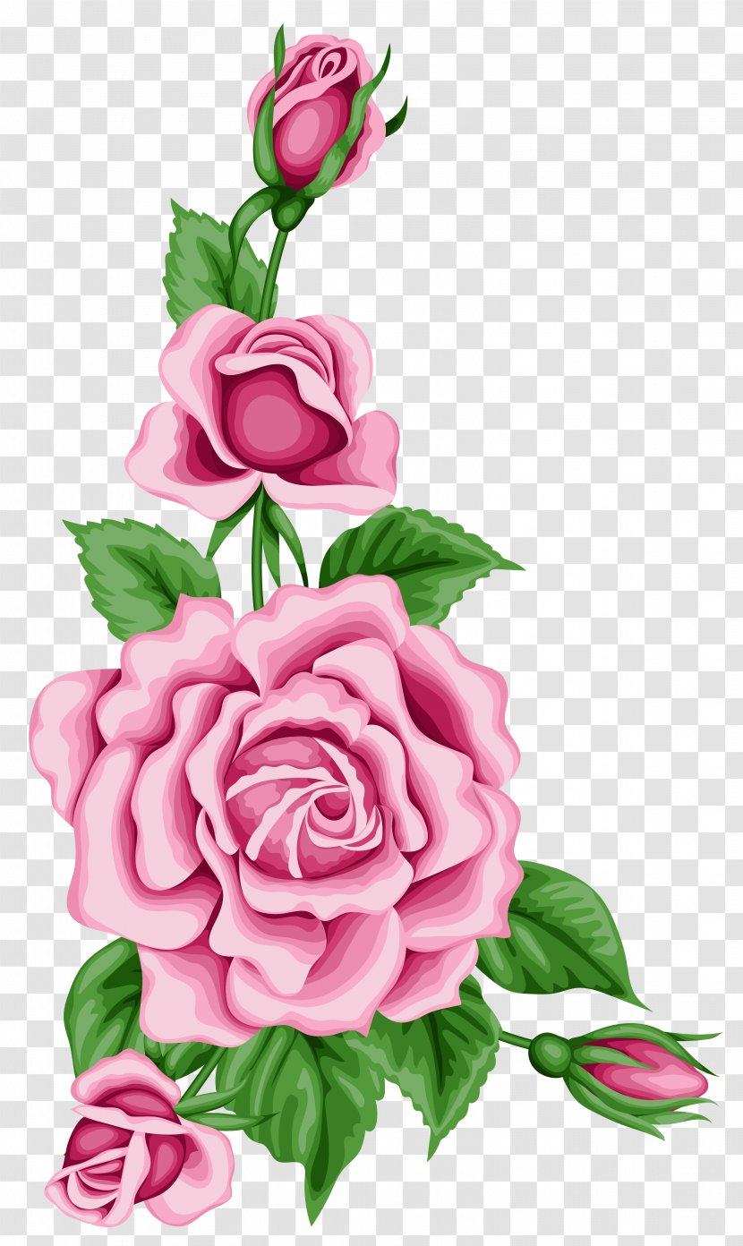 Rose Flower Clip Art - Painting - Floral Transparent PNG