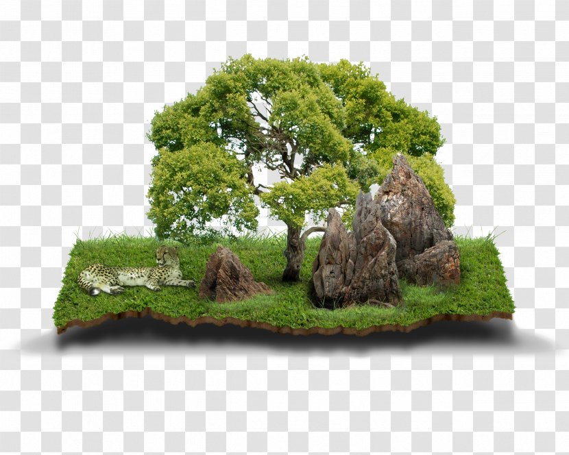 Agricultural Land Agriculture House Lot - Evergreen - Stone Mountain Material Bonsai Transparent PNG