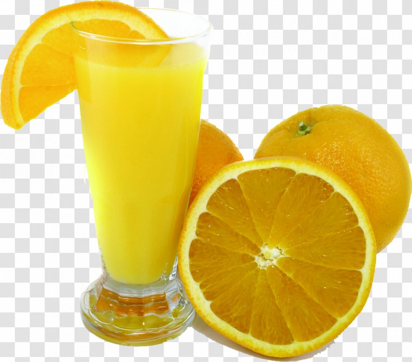 Orange Juice Fizzy Drinks Nectar Cranberry - Summer Effect Cool Fruit Transparent PNG