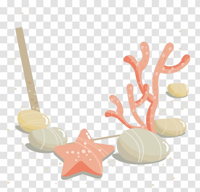 Coral Starfish Cartoon Sea - Sand Dollar Transparent PNG