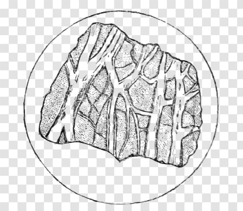 Metamorphic Rock Geology Journal Of The Geological Society Drawing - Heart Transparent PNG