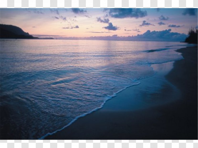 Shore Sea Coast Ocean Bay Transparent PNG