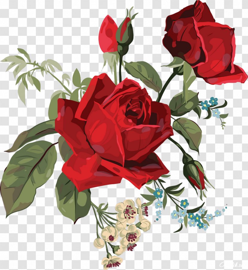 Centifolia Roses Garden Flower Clip Art - Floristry - Rose Transparent PNG