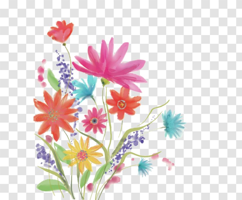 Floral Design Watercolor: Flowers Illustration Watercolor Painting - Barberton Daisy Transparent PNG