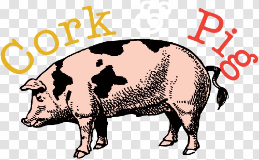 Domestic Pig Cork & Tavern Beer Pizza Transparent PNG