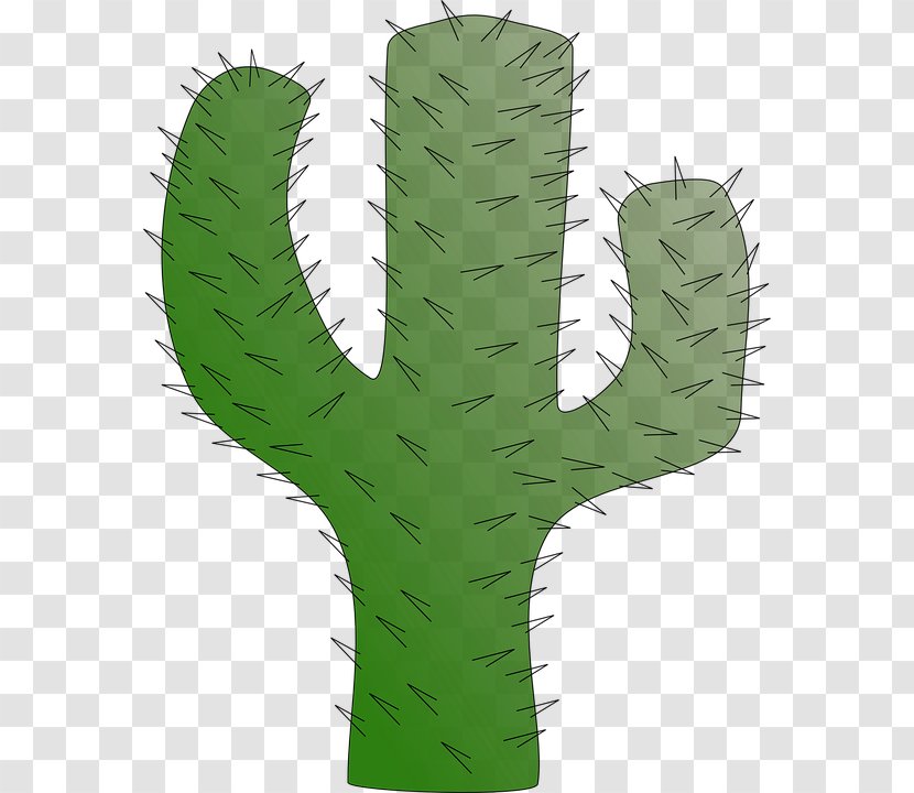 Cactaceae Saguaro Succulent Plant Desert Clip Art - Prickly Pear - Cactus Background Transparent PNG