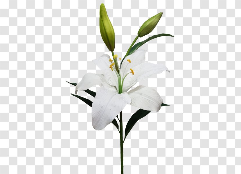 Cut Flowers Artificial Flower Lilium Candidum Garland - Flowerpot Transparent PNG