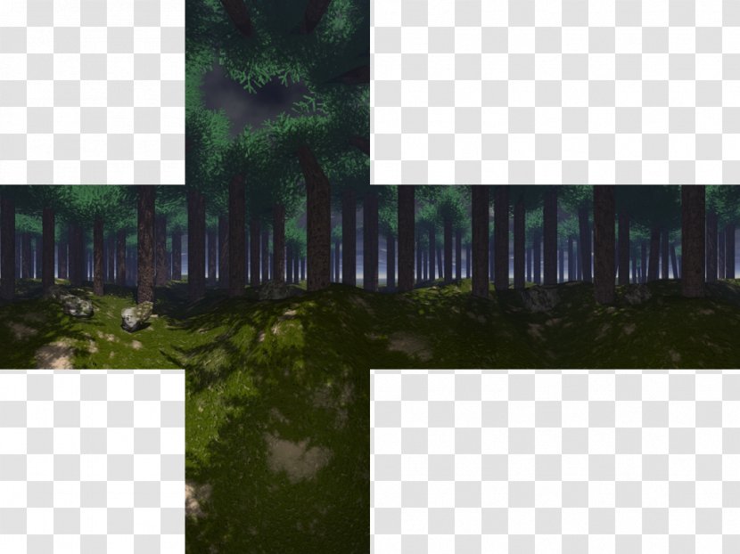 Sven Co-op Skybox Forest Texture Mapping - Forrest Transparent PNG