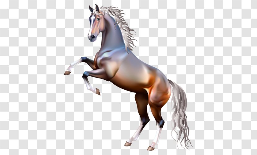 Mustang Rearing Mane Equestrian Gallop - Livestock Transparent PNG