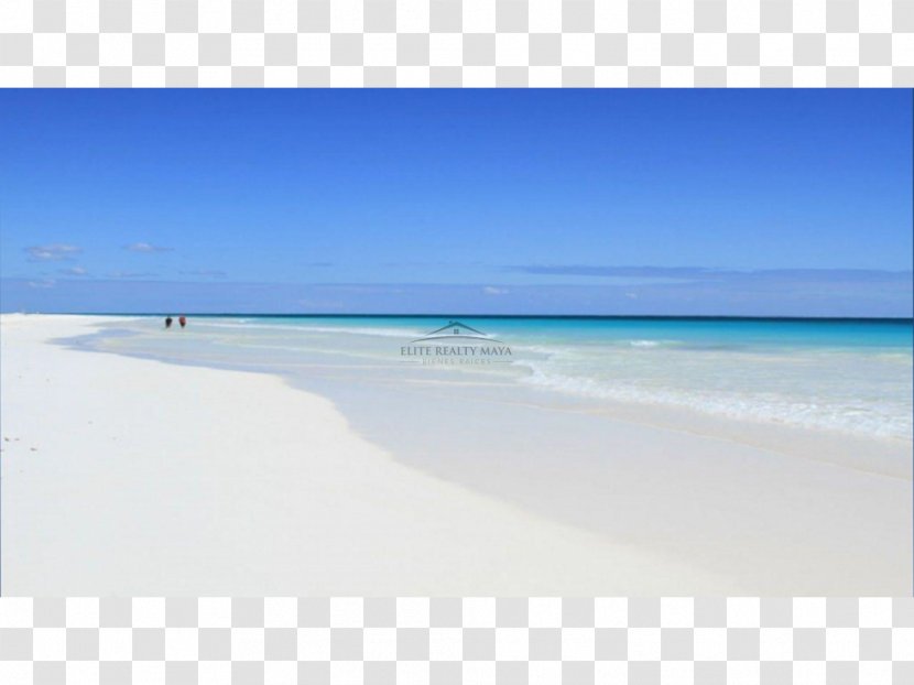 Shore Caribbean Sea Beach Coast - Ocean Transparent PNG