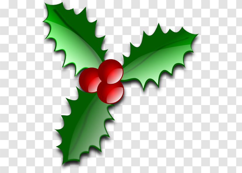 Common Holly Christmas Tree Leaf Clip Art - Leaves Cliparts Transparent PNG
