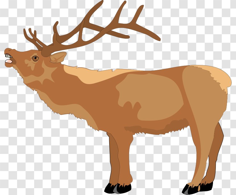 Rudolph Reindeer Christmas Clip Art - Computer - Free Animal Vector Transparent PNG