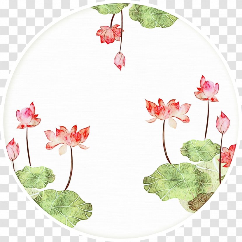 Watercolor Flower Background - Plant - Geranium Wildflower Transparent PNG