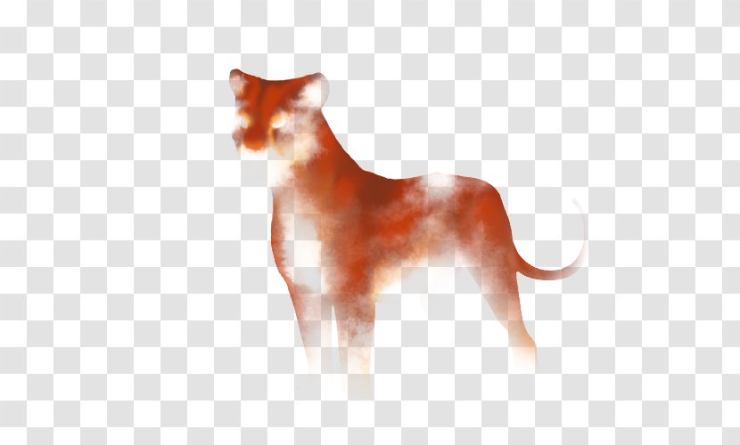 Whiskers Dog Breed Cat Dhole Transparent PNG