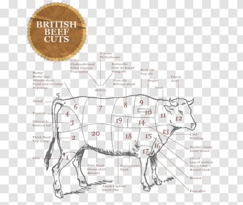 Domestic Pig Cattle Primal Cut Of Beef - Wildlife Transparent PNG