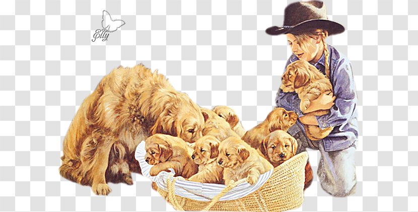 Puppy Golden Retriever English Cocker Spaniel Animal - Pregnancy - Dog In Kind Transparent PNG