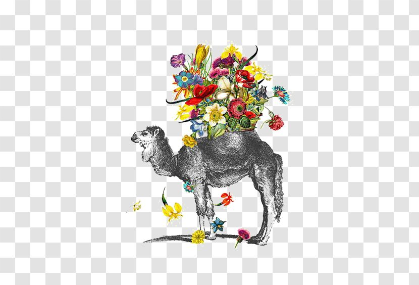 Bactrian Camel Drawing Watercolor Painting - Petal Transparent PNG