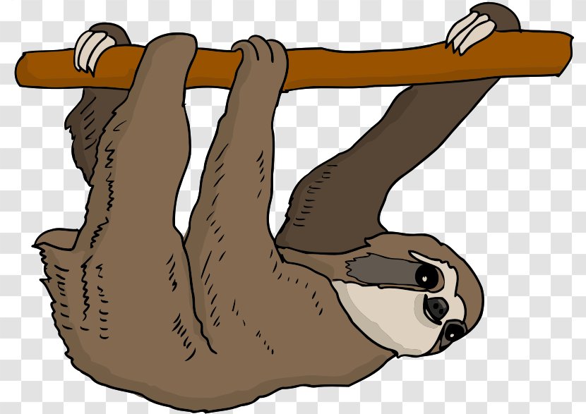 Sloth Mammal Image Clip Art Illustration - Hand - Animal Transparent PNG