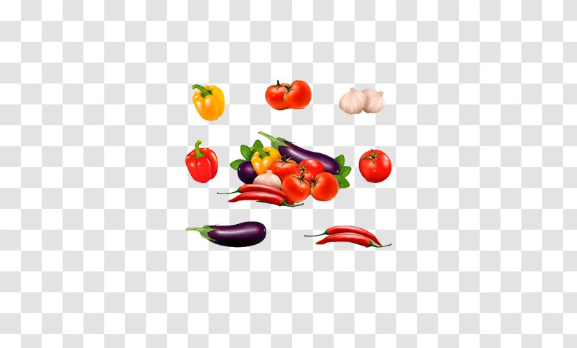 Chili Con Carne Pepper Garlic Bell - Peppers - Hand Painted Picture Of Vegetables Transparent PNG