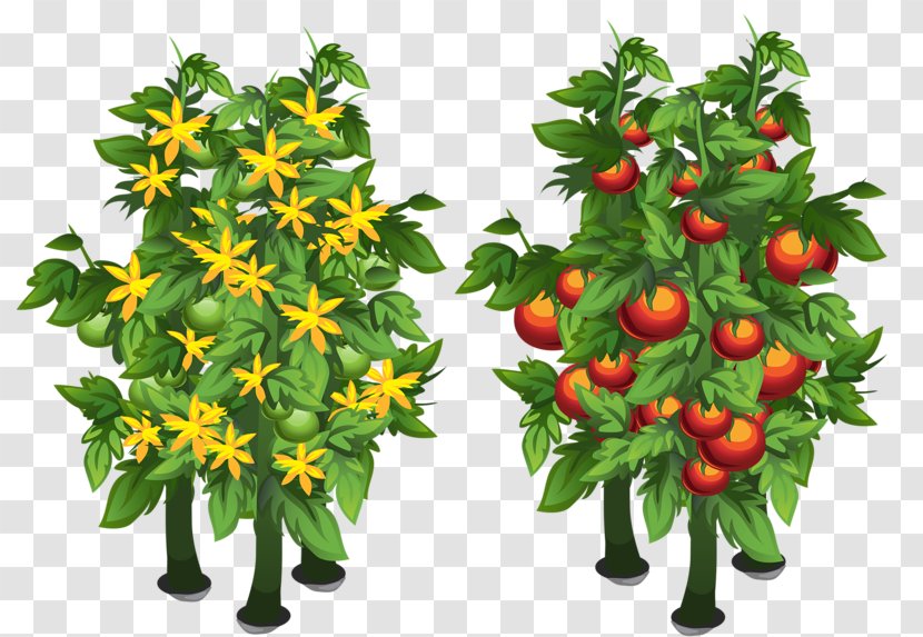 Download Tree - Bloom And Bear Fruit Transparent PNG