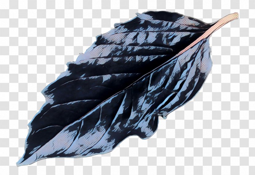 Vintage Background - Leaf Feather Transparent PNG