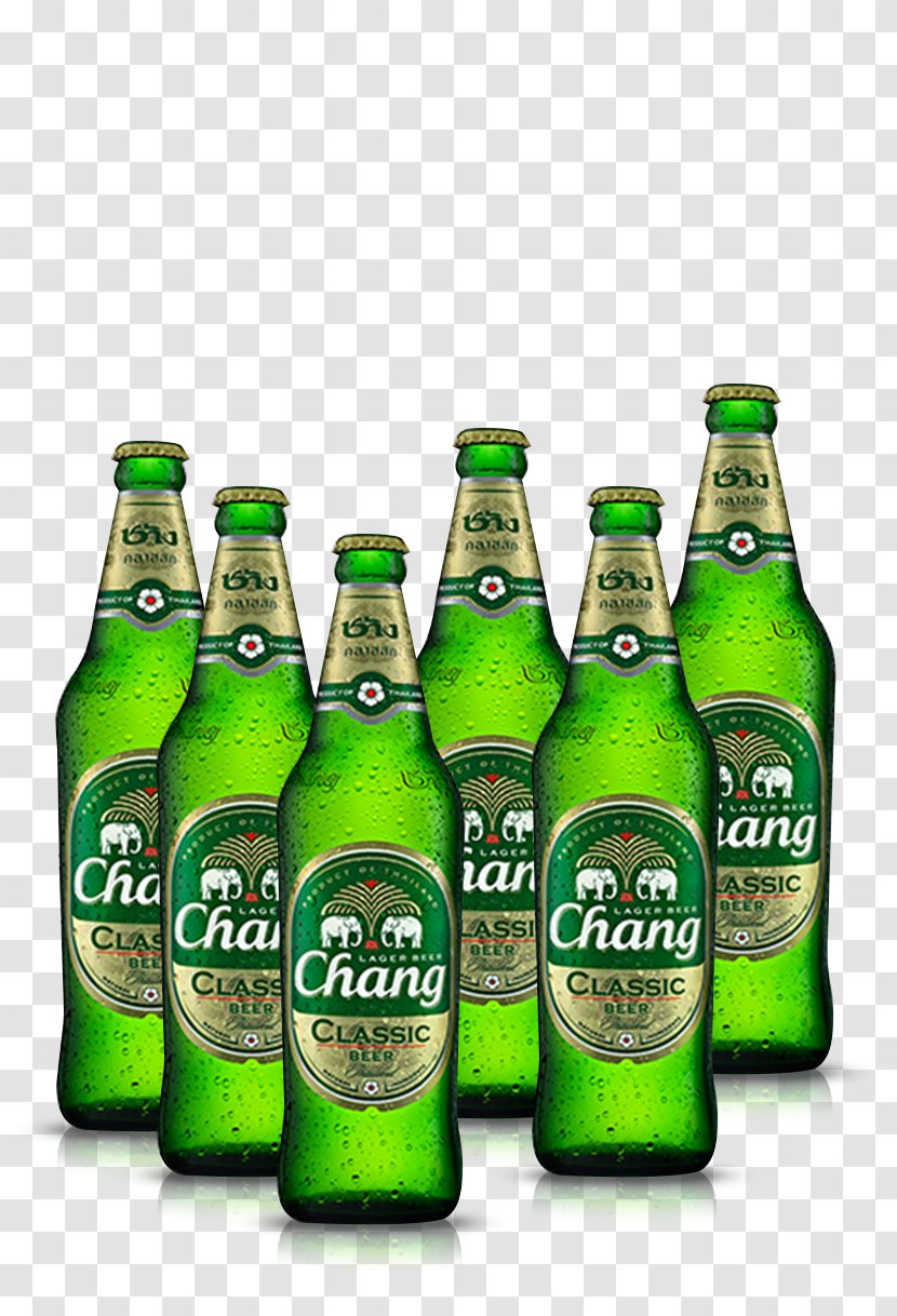 Chang Beer Alcoholic Drink Bottle Wine Transparent PNG