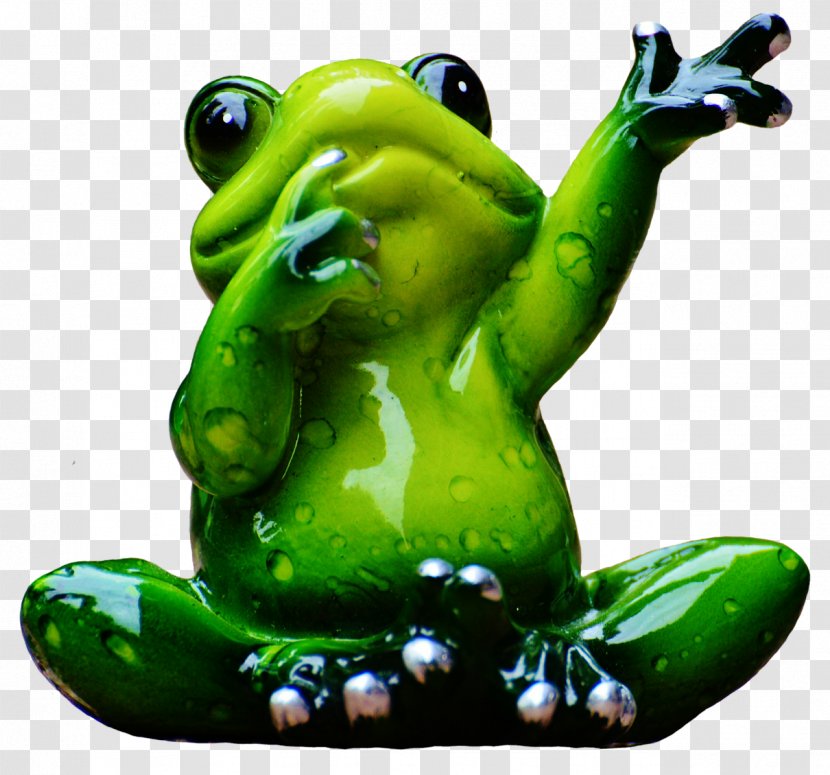 Frog Car Mirror - Photography Transparent PNG