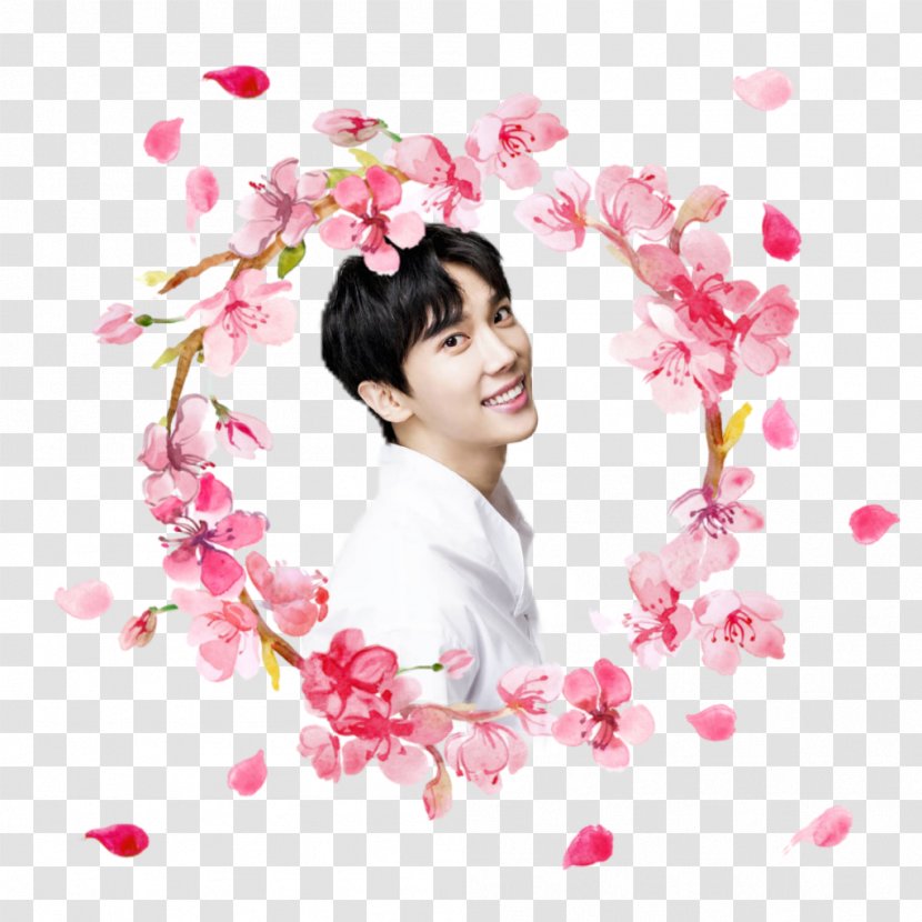 Clip Art Flower Floral Design Watercolor Painting - Petal - Kim Hyunjoong Joong Ss501 Transparent PNG