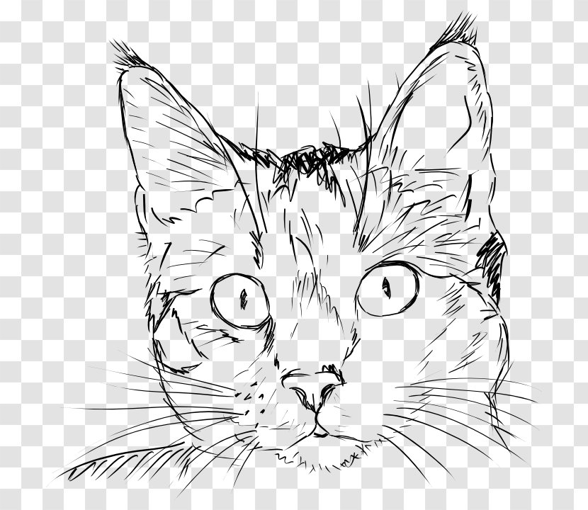 Draw Cats Tiger Drawing Clip Art - Wing - Cat Transparent PNG