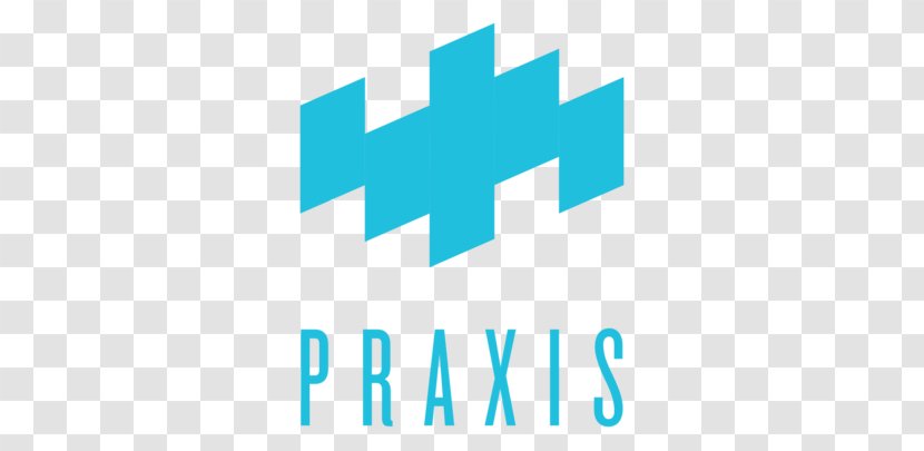 Praxis Entrepreneurship Organization Culture Business - Startup Company - Novoed Transparent PNG
