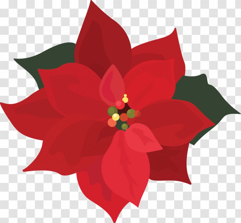 Clip Art Poinsettia Openclipart Free Content - Single Poinsetta Transparent PNG