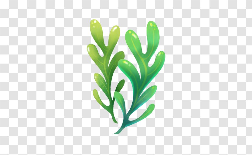 Wiki Image Algae - Tree - Algas Insignia Transparent PNG